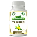 Tribulus (60 Capsules)