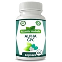 ألفا GPC (60 كبسولة)